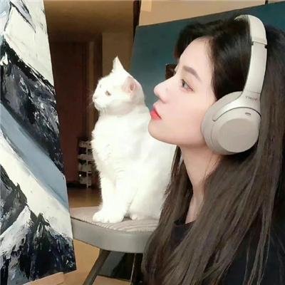 小马王自由奔驰